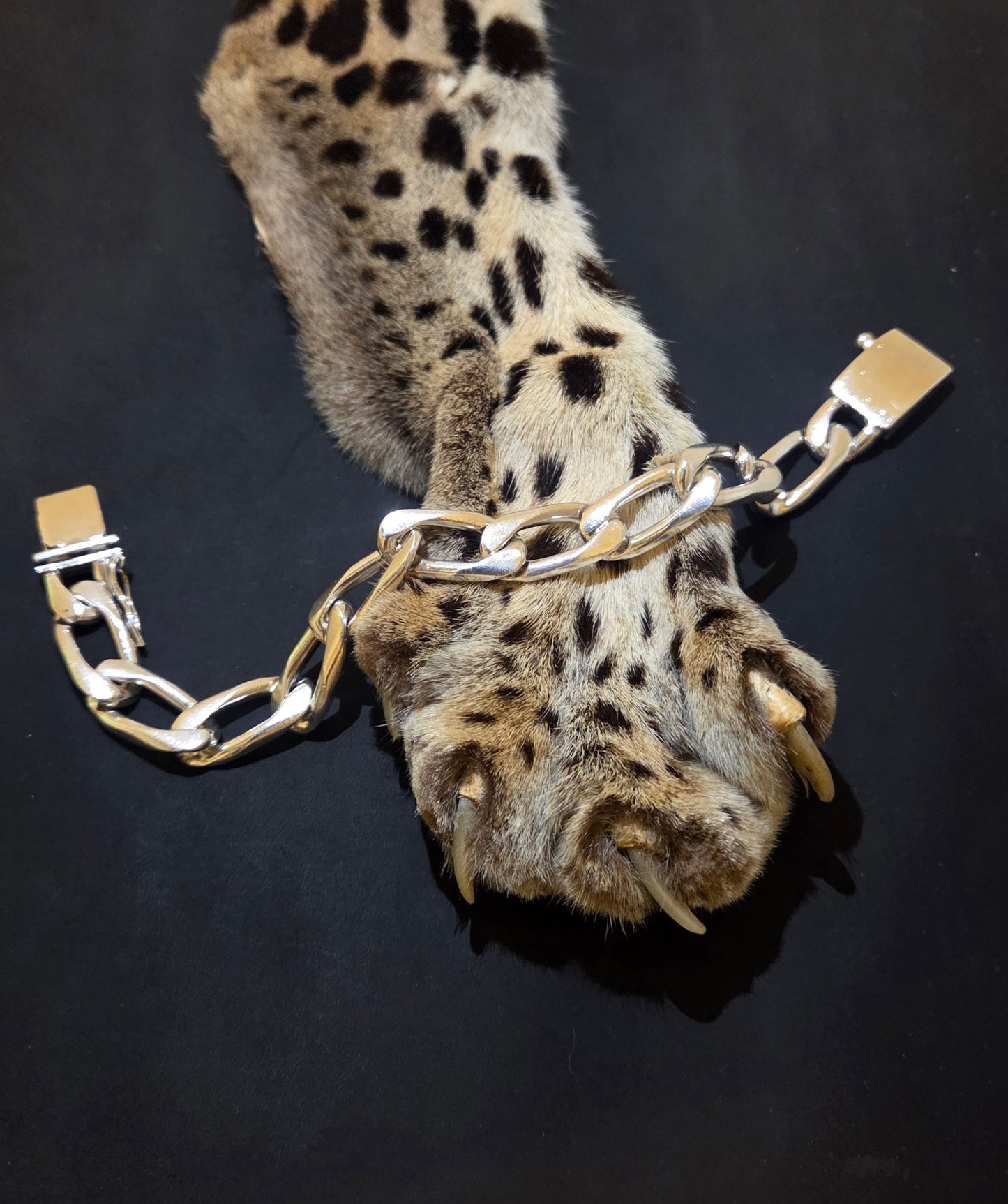 Figaro Link Mexico Bracelet