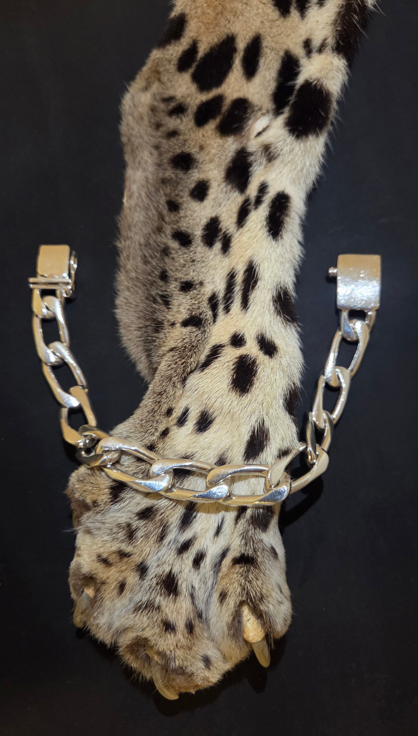 Figaro Link Mexico Bracelet