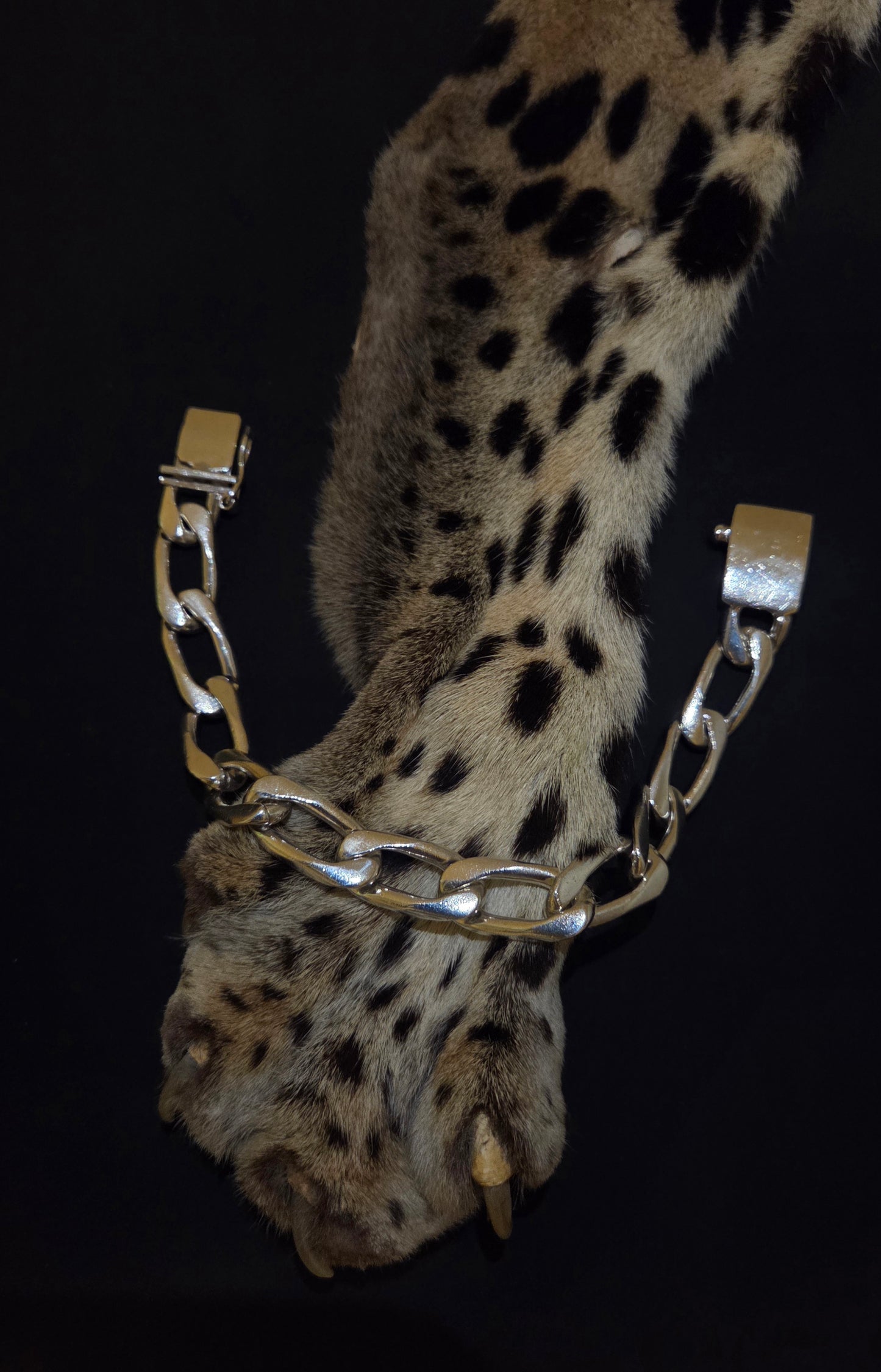 Figaro Link Mexico Bracelet