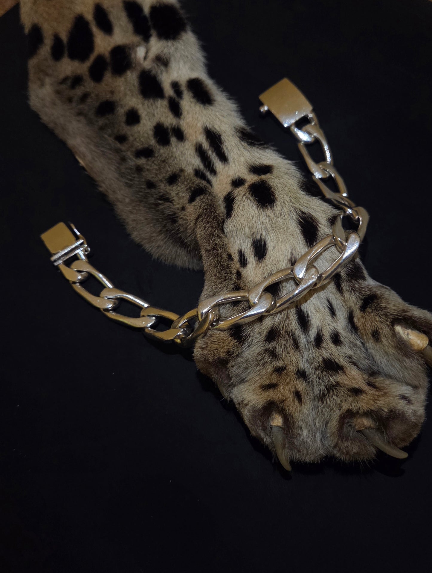 Figaro Link Mexico Bracelet